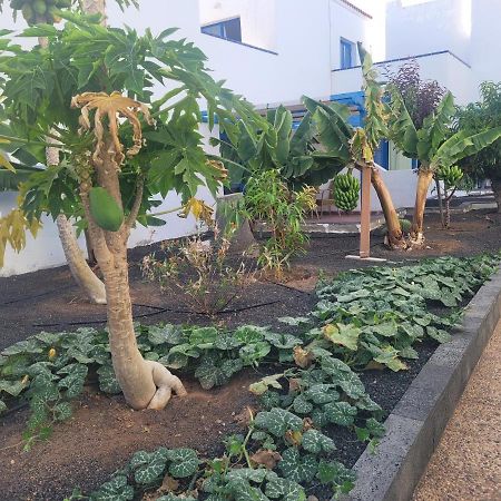 Nenita Apartment Caleta De Fuste Kültér fotó
